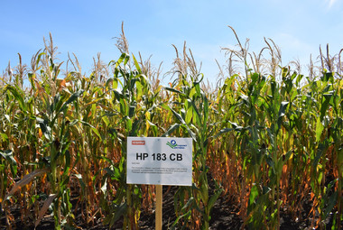 НР 183 СВ