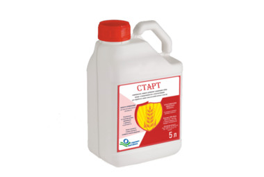 Старт