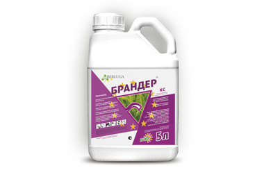 Брандер
