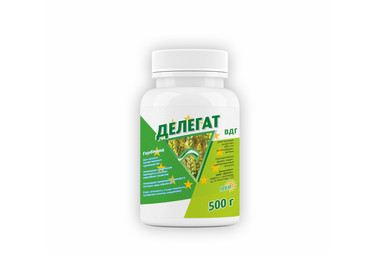 Делегат