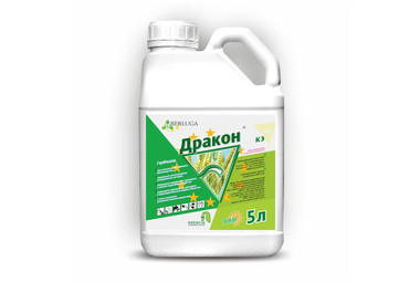 Дракон