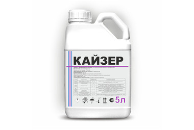 Кайзер