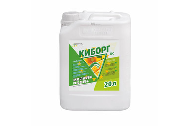 Киборг
