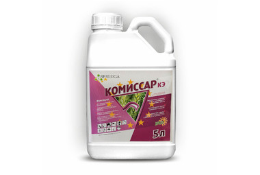 Комиссар