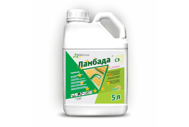 Ламбада
