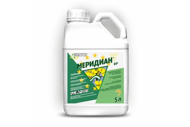 Меридиан
